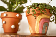 Pot Decorating & Planting